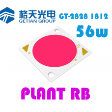 GT-2828 1812 Plant RB