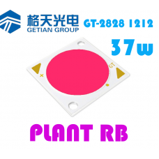 GT-2828 1212 Plant RB