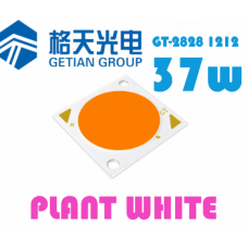 GT-2828 1212 Plant White