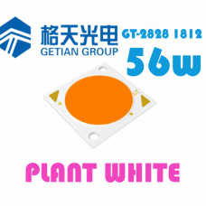GT-2828 1812 Plant White