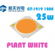 GT-1919 1208 Plant White